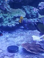 20170727_202506.jpg