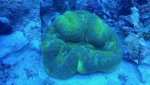 20180701_121030.jpg
