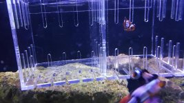20170516_165510_1494970693389.jpg