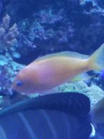 20170727_204842.jpg