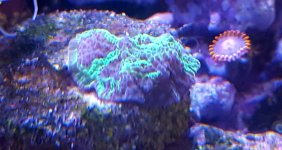 20180826_151200.jpg