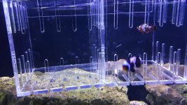20170516_165515_1494970643543.jpg