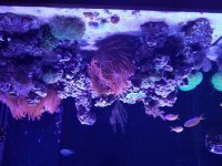 2017-05-13 17.05.50.jpg