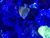 IMG_3169.jpg