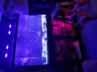 20180123_174905.jpg
