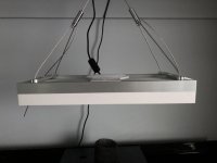 1EEA9122-E3EE-4E07-A41B-C8F200A8C17E.jpg