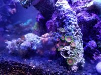 20170109_153907.jpg