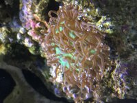 IMG_2902.jpg