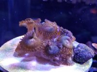 20170109_154559.jpg