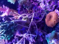 20170109_154459.jpg