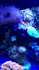 IMG_9025.jpg