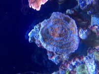IMG_8313.JPG