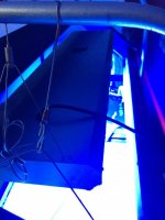 IMG_3622.jpg