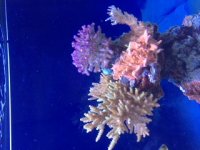 IMG_8312.JPG