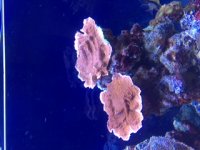 IMG_8314.JPG