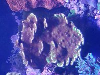 20180122_132503.jpg