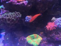 IMG_7665.jpg