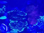 20180124_090955.jpg