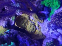 20180124_120243.jpg