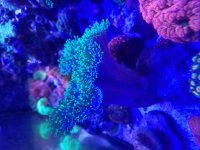 20180124_120216.jpg