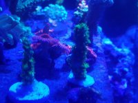 20170110_184809.jpg