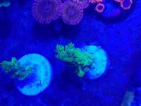 20170110_184746.jpg