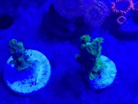 20170110_184722.jpg