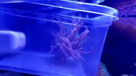 20171024_100310.jpg