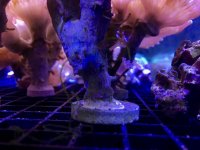 IMG_0502 v2.jpg