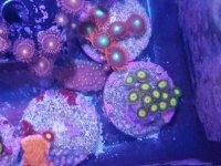 20170518_141413.jpg