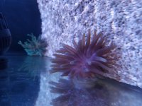 20170730_121838.jpg