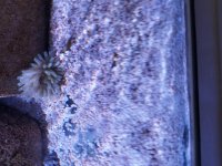 20170730_121855.jpg