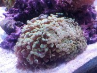 20170518_141320.jpg