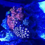 B924DDC9-D1E8-4611-AD59-38E4FC2135D6.jpg
