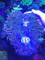 20170731_103108.jpg