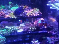 20170518_141230.jpg