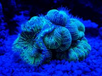 MVIMG_20180125_001032.jpg