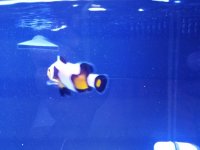 20170306_215406.jpg