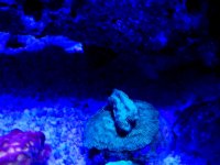 20170715_154436.jpg