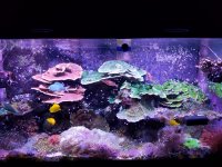 20181113_174936.jpg