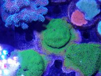 20181113_175011.jpg