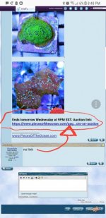 Screenshot_20171024-204934.jpg