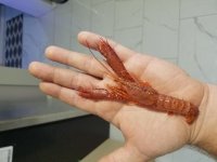 20180126_072533.jpg
