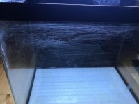 C6A1E1F8-9258-46EB-BF52-5EE6D0DE4DC4.jpg