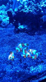 IMG_20171003_170956.jpg