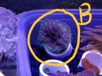 b02.jpg b02.jpg
