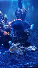 IMG_20171025_130654.jpg