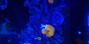 20181114_160809.jpg