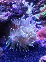 IMG_20180408_180748.jpg