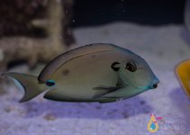 IMG_2162.jpg